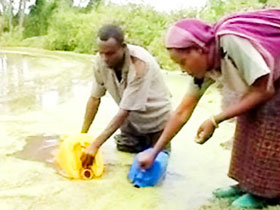 Thousands of people in Africa die from cholera