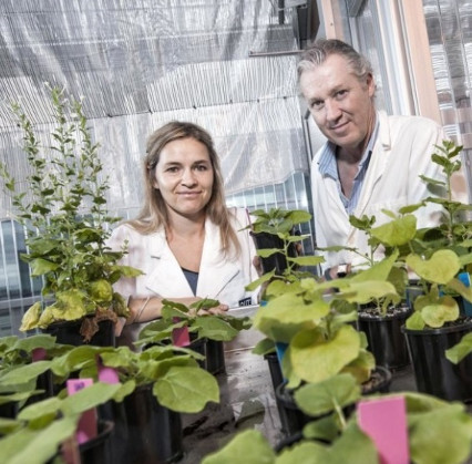 Thousands of years have kept the secret to growing vegetables in the universe