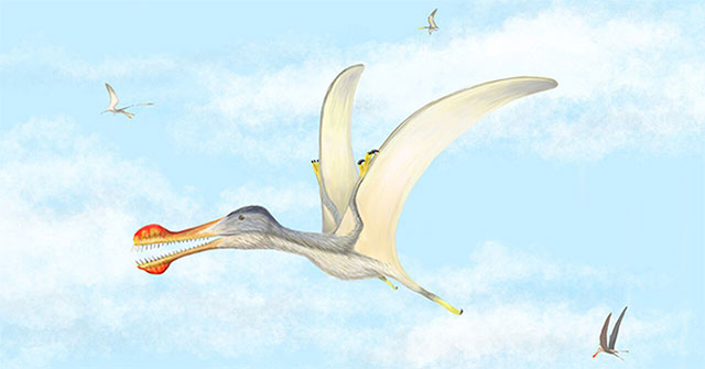 Three species of pterosaurs with large teeth were discovered
