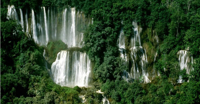 ThungYai Wildlife Sanctuary - Huai Kha Khaeng