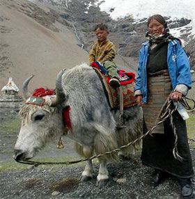 Tibetans live on high mountains thanks to 'extinct relatives'