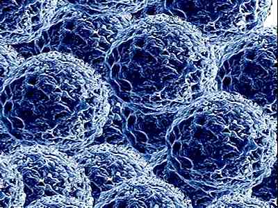 Tiny magnet for cancer treatment
