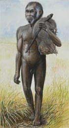 'Tiny people' in Indonesia are not new species