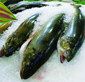 Tips for using frozen food people should know