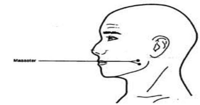 Tips to cure a headache after only 10 seconds