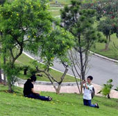 To be happy, live near parks and trees