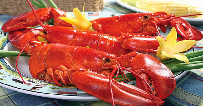 To boil lobster live: Forget it if you're in Switzerland!