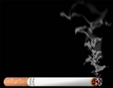 Tobacco causes genetic changes