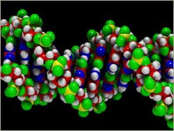 Tobacco changes sperm's DNA