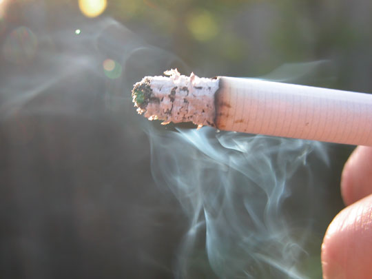 Tobacco reduces intelligence