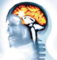 Tobacco-induced brain region