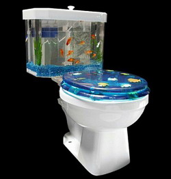 Toilet cum aquarium