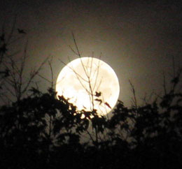 Tonight the smallest full moon of the year