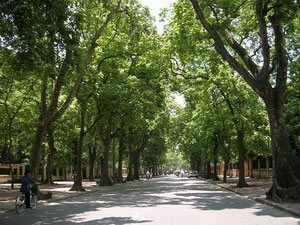 Tonkin is sunny, the temperature can be up to 34 degrees Celsius