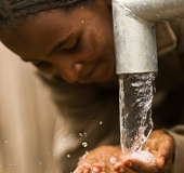 Too clean water is harmful