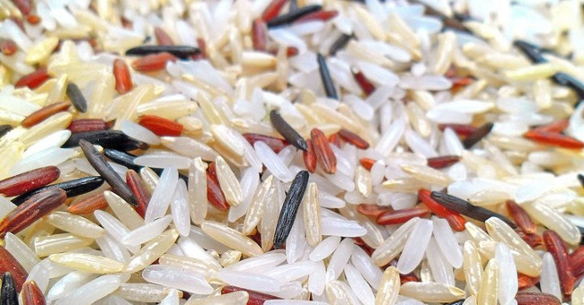 Too high CO2 levels can cause rice to lose many important nutrients?