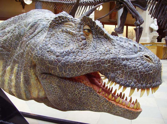 Top 10 most important scientific findings of the decade