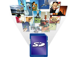Toshiba introduces SD memory card ... 8GB