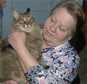 Touching the scene of cat rescuing abandoned children in the snow