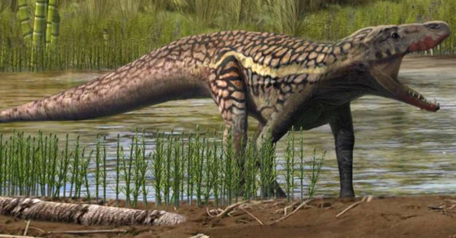 Traces of ancient reptiles have never been discovered