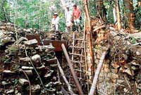 Traces of the horrific massacre of Maya