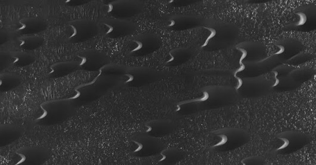Traces of the same alien alien herd on Mars