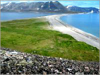 Tracing dinosaur traces on Chukotka Peninsula (Russia)