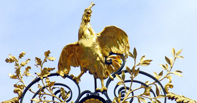 Tracing the origins of the Speaker of the Rooster, the symbol of France