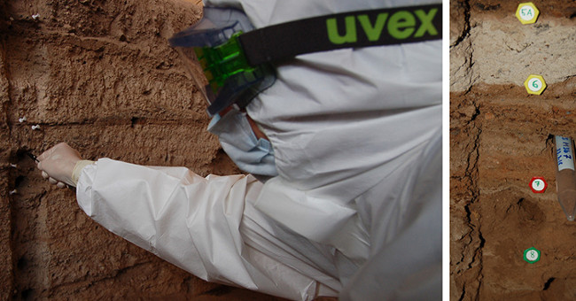 Tracing the source of human illness