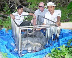 Track turtles with ... satellites