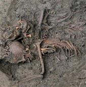 Tragedy after the mass grave in British university