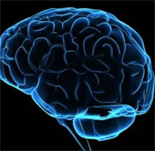 Transform normal skin cells into brain cells