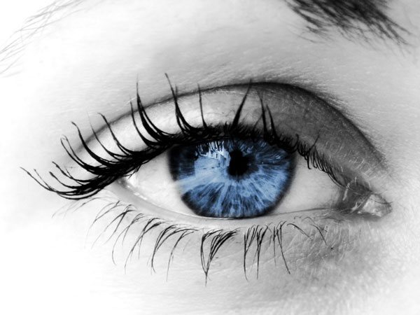 Transplant cells to help visually impaired people recover vision?