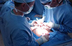 Transplants should be made between people of the same sex