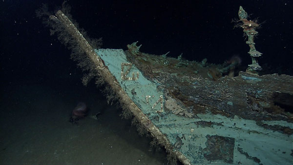 Treasure on a 200-year shipwreck on the sea floor