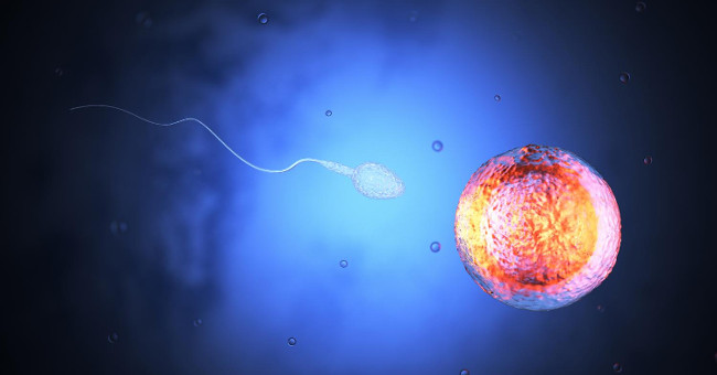 Treat cervical cancer with ... cow sperm