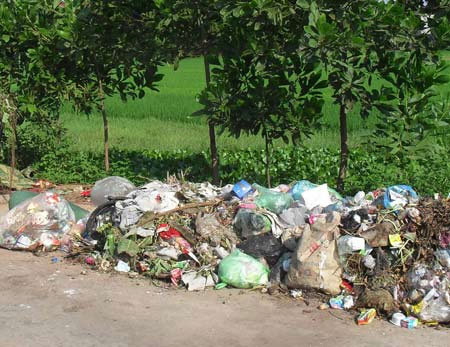 Treat leachate with ozone