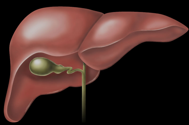 Treat liver cancer with smallpox vaccine