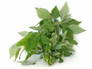 Treating flu drug aerosol therapy and sauna