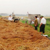 Treating rural pollution with biological products