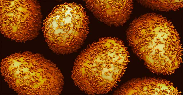 Treatment of 'edible' cancer cells