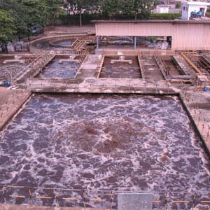 Treatment of polluted water with microorganisms