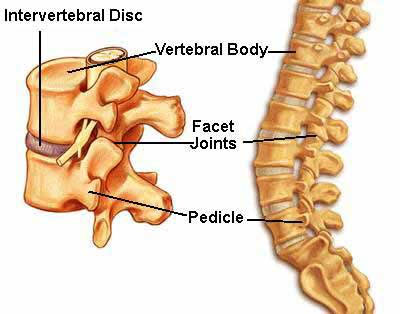 Treatment of spinal degeneration by laser magnets