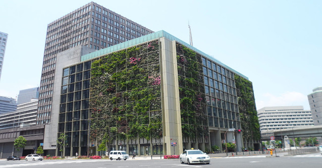 Tree wall - a modern urban green solution