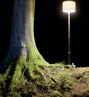 Trees can become a clean energy source