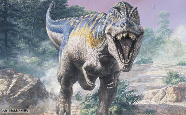 T-rex tyrant dinosaurs also know 'love' - the shocking study of scientists