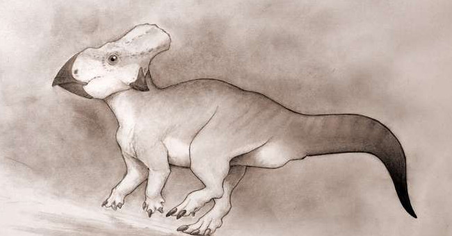 Triceratops are only as big as a dog