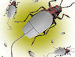 Trojans make up 85% of dangerous software in May