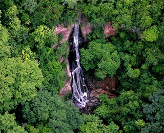 Tropical forests are protected