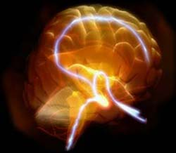 Truth and misconceptions in science - Deception in science